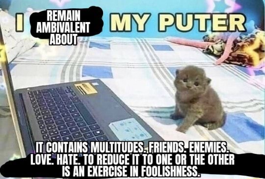 I REMAIN AMBIVALENT ABOUT MY PUTER. IT CONTANS MULTIUDES. FRIENDS. ENEMIES. LOVE. HATE. TO REDUCE IT TO ONE OR THE OTHER IS AN EXERCISE IN FOOLISHNESS.